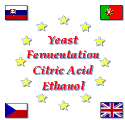 Yeast - Fermentation - Citric Acid - Ethanol
